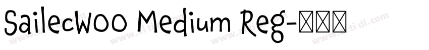 SailecW00 Medium Reg字体转换